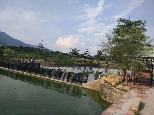 拓展活動(dòng)｜釣魚