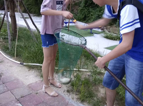 拓展活動(dòng)｜釣魚